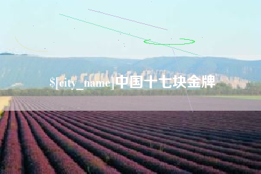 白城中国十七块金牌