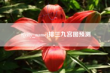 白城排三九宫图预测