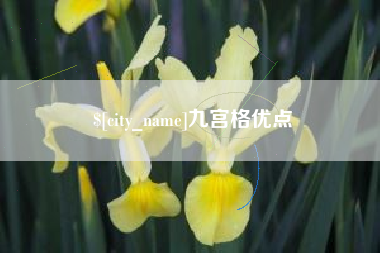 白城九宫格优点
