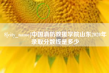 白城中国消防救援学院山东2020年录取分数线是多少