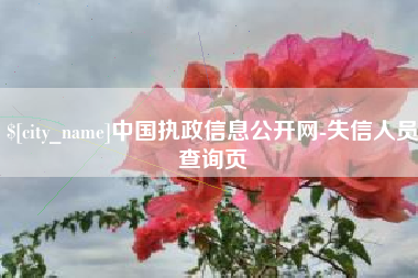 白城中国执政信息公开网-失信人员查询页