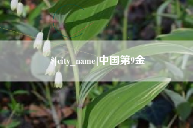 白城中国第9金