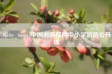 白城中国消防官网中小学消防公开课