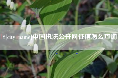 白城中国执法公开网征信怎么查询