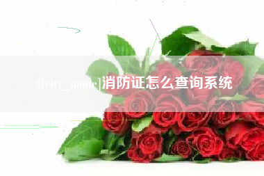 白城消防证怎么查询系统