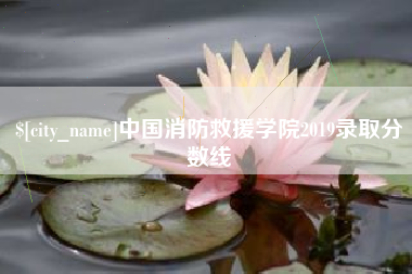 白城中国消防救援学院2019录取分数线