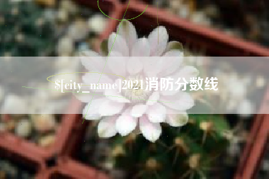 白城2021消防分数线