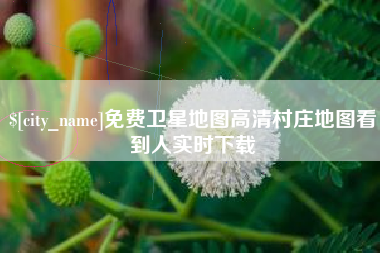白城免费卫星地图高清村庄地图看到人实时下载