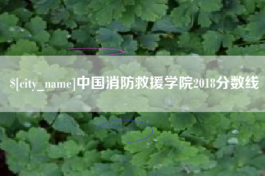 白城中国消防救援学院2018分数线