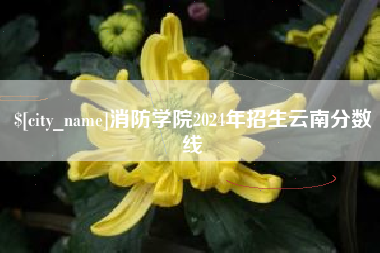 白城消防学院2024年招生云南分数线