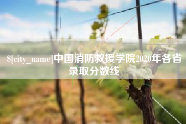 白城中国消防救援学院2020年各省录取分数线