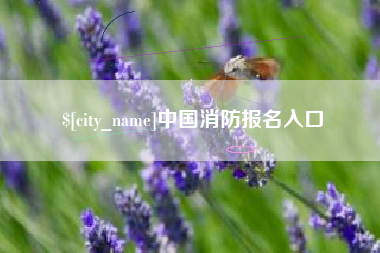 白城中国消防报名入口
