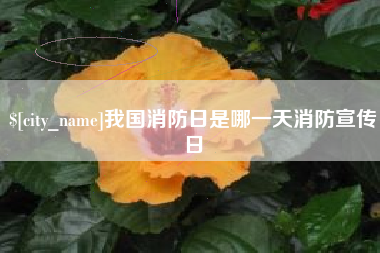 白城我国消防日是哪一天消防宣传日