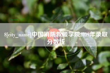 白城中国消防救援学院2019年录取分数线