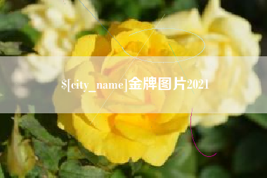 白城金牌图片2021