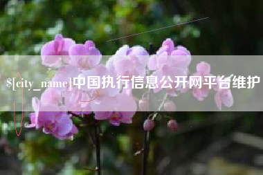 白城中国执行信息公开网平台维护