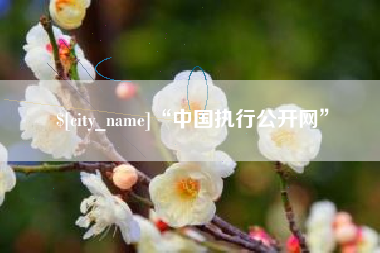 白城“中国执行公开网”