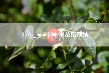 白城5000米及格成绩