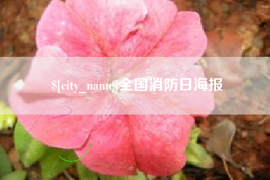 白城全国消防日海报