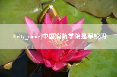 白城中国消防学院是军校吗