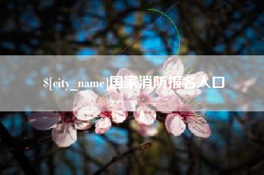 白城国家消防报名入口