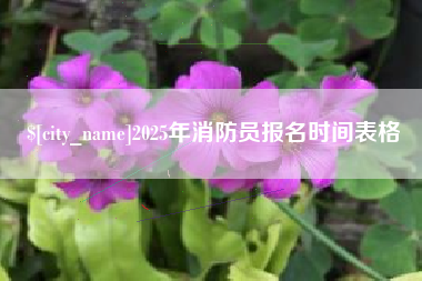 白城2025年消防员报名时间表格