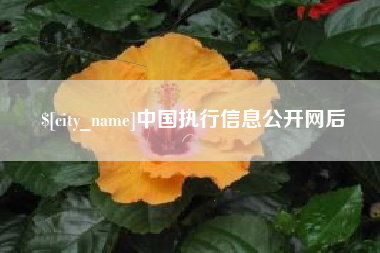 白城中国执行信息公开网后
