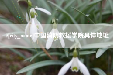 白城中国消防救援学院具体地址
