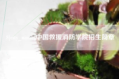 白城中国救援消防学院招生简章
