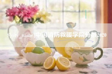 白城中国消防救援学院分数2020