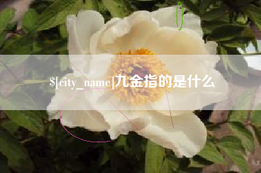白城九金指的是什么