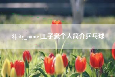 白城王子豪个人简介乒乓球