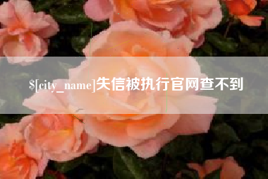 白城失信被执行官网查不到