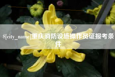 白城重庆消防设施操作员证报考条件