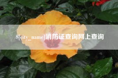 白城消防证查询网上查询