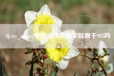 白城中国消防救援学院属于985吗