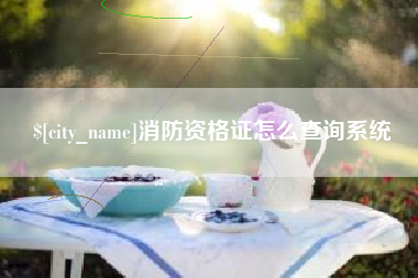 白城消防资格证怎么查询系统