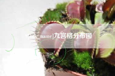 白城九宫格分布图