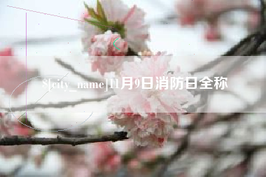 白城11月9日消防日全称