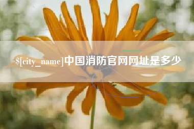 白城中国消防官网网址是多少