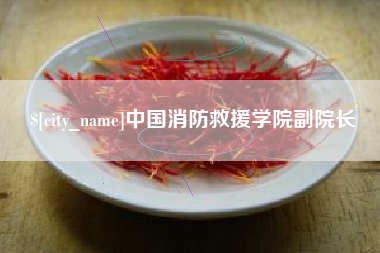 白城中国消防救援学院副院长