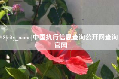 白城中国执行信息查询公开网查询官网