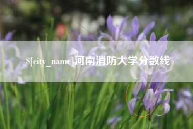 白城河南消防大学分数线