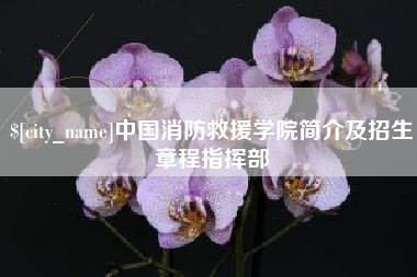 白城中国消防救援学院简介及招生章程指挥部