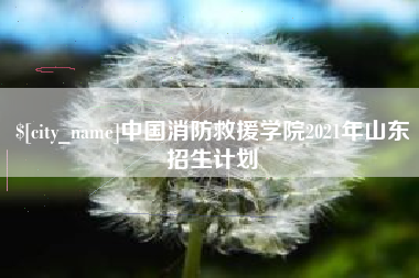 白城中国消防救援学院2021年山东招生计划