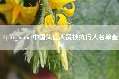 白城中国失信人员被执行人名单查询