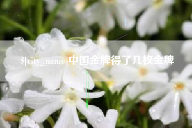 白城中国金牌得了几枚金牌