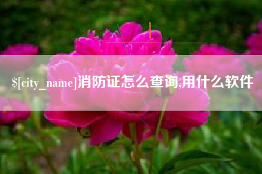 白城消防证怎么查询,用什么软件
