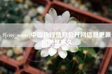 白城中国执行信息公开网信息更新时间是多久