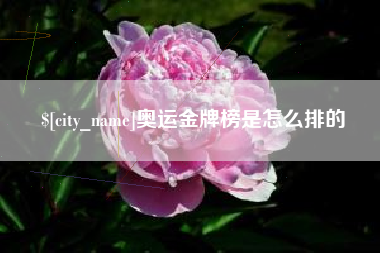 白城奥运金牌榜是怎么排的
